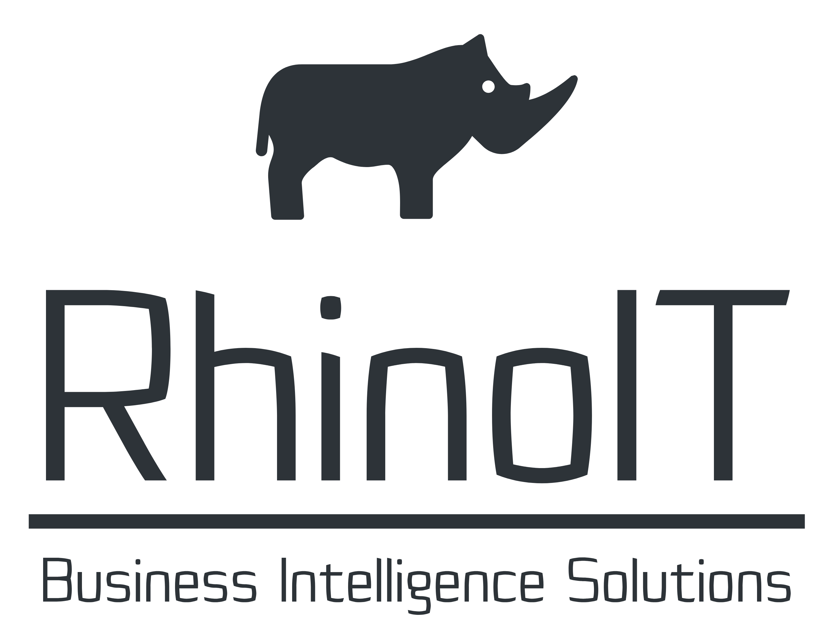 RhinoIT – Business Intelligence Solutions