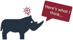 Business Intelligence Solutions RhinoIT