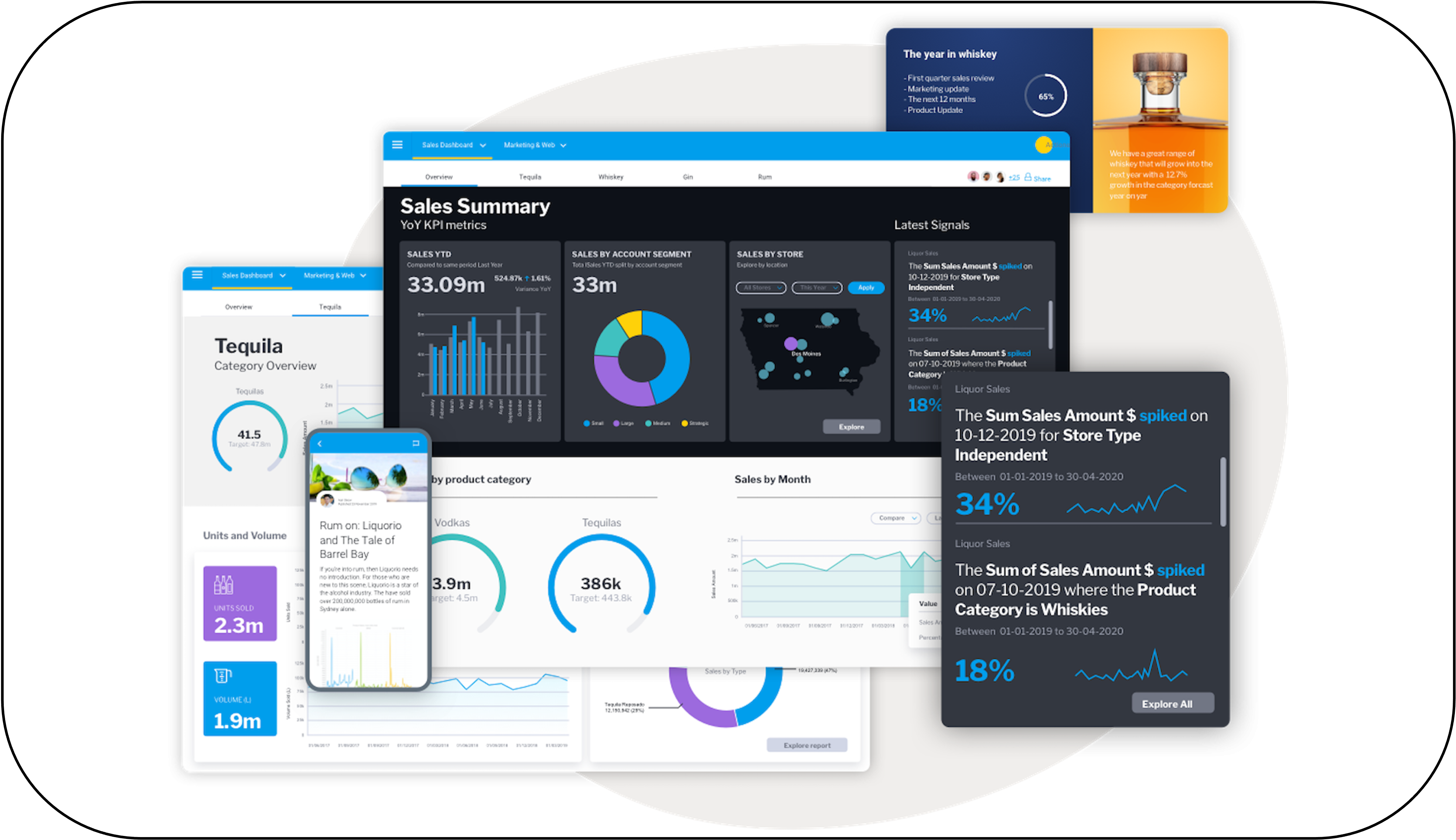 Transform Data Into Insight RhinoIT