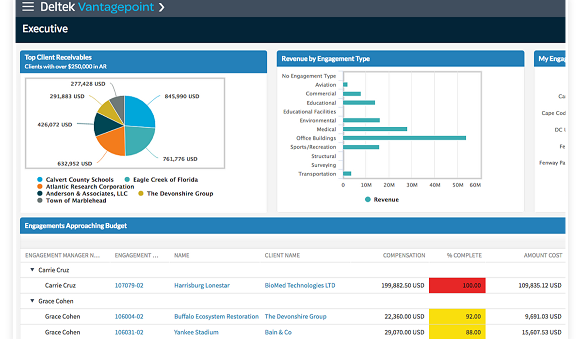 Vantagepoint for Professional Services RhinoIT